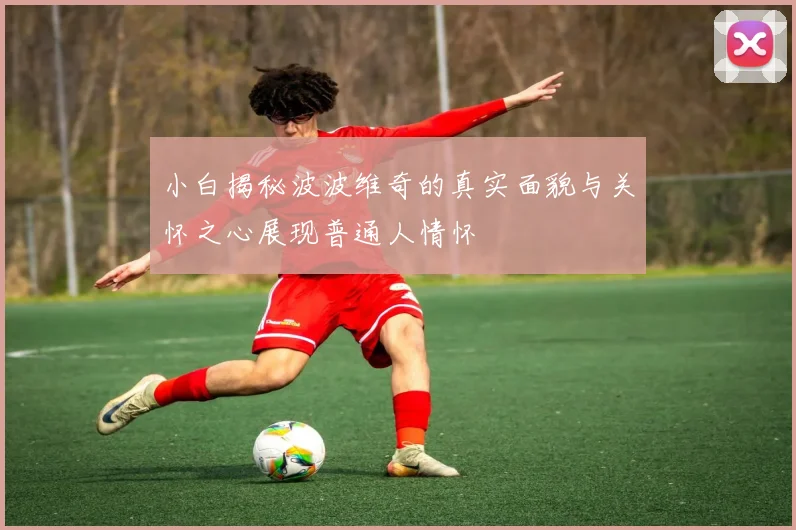 小白揭秘波波维奇的真实面貌与关怀之心展现普通人情怀
